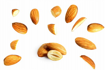 fly water soaked almond nut isolated in white background 