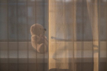 Teddy bear behind the curtain. Sheer tulle in front of the window. Sunlight.