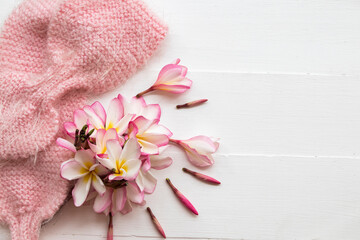 pink flowers frangipani floral of asia with knitting wool scarf in winter season arrangement  flat lay style on background white wooden