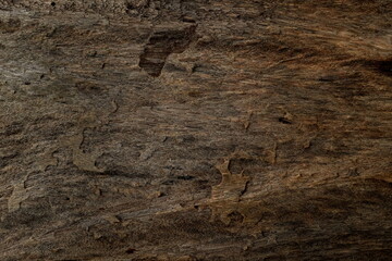 Rough and old dark brown wood texture background. 