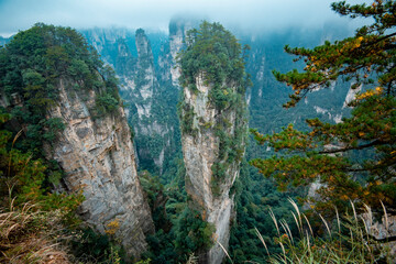 Fototapeta na wymiar Amazing landscape of mountain and forest in the foggy at Wulingyuan, Hunan, China. Wulingyuan Scenic and Historic Interest Area which was designated a UNESCO World Heritage Site in China
