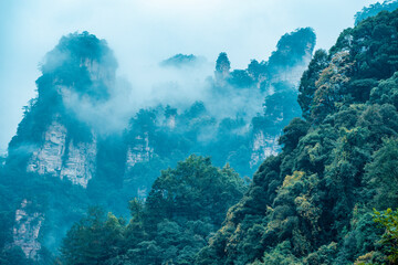 Amazing landscape of mountain and forest in the foggy at Wulingyuan, Hunan, China. Wulingyuan Scenic and Historic Interest Area which was designated a UNESCO World Heritage Site in China