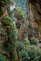 the mountain and forest in foggy at at Wulingyuan. Wulingyuan Scenic and Historic Interest Area which was designated a UNESCO World Heritage Site as well as an AAA scenic area in china.