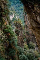Obraz premium the mountain and forest in foggy at at Wulingyuan. Wulingyuan Scenic and Historic Interest Area which was designated a UNESCO World Heritage Site as well as an AAA scenic area in china.