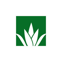 Aloe vera plant logo design template