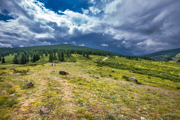 Mountain landscape. Ulagansky district, Altai Republic, Russia