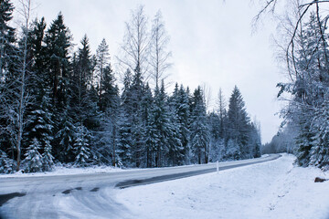 Snowy road in winter forest. Beautiful frosty white landscape.