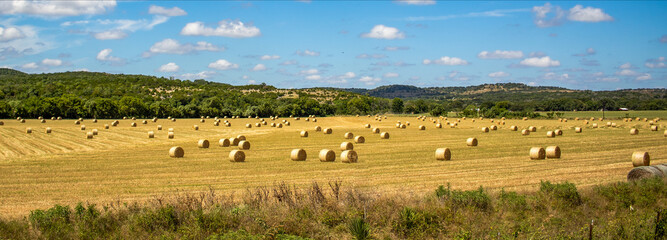 Fototapeta na wymiar Baling Hay