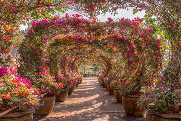 The colorful bougainvillea arch is a heart-shaped decoration for tourists to walk in..