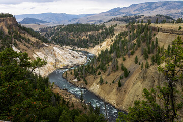Fototapeta na wymiar Yellowstone river in the valley of Yellowstone national park.