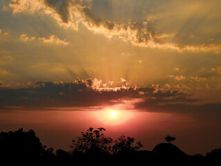 sunset over the trees