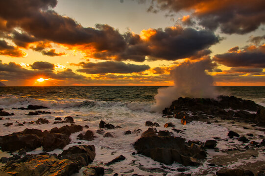 出口 慎也 Photos Images Assets Adobe Stock
