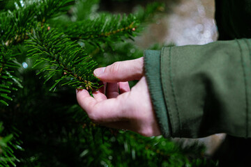 Close up of a hand touching a christmas tree