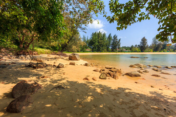trees on Nai Yang Beach, Phuket, Thailand