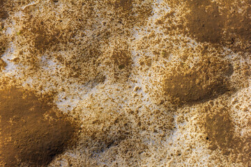 Natural river stony bottom, shallow riverbed during autumn weather on a Sunny day in a mountainous area.