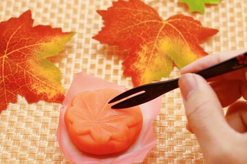 上生菓子　紅葉　秋のイメージ