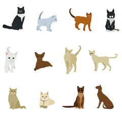 Fototapeta premium Cat clip art set-hand drawn cat breeds-digital SVG vector-cute animals Pets-business clip art collection-kitten-stickers-living room clipart