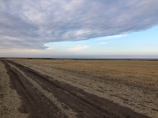 plowed field and sky