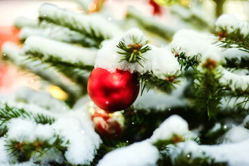 Red Christmas ball on the branches of a Christmas tree covered with snow. Christmas mood