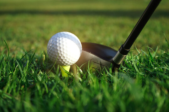 Golf club and golf ball close up in grass field with sunset. Golf ball close up in golf coures at Thailand