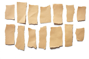 collection real brown paper torn or ripped pieces of paper in white background
