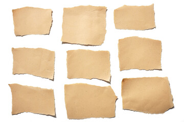 collection real brown paper torn or ripped pieces of paper in white background
