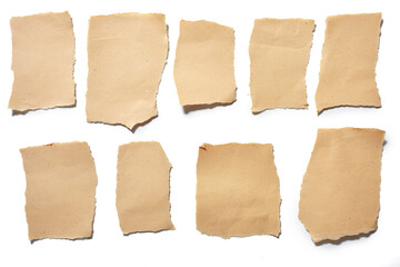 collection real brown paper torn or ripped pieces of paper in white background
