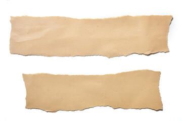 collection real brown paper torn or ripped pieces of paper in white background
