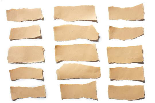 collection real brown paper torn or ripped pieces of paper in white background

