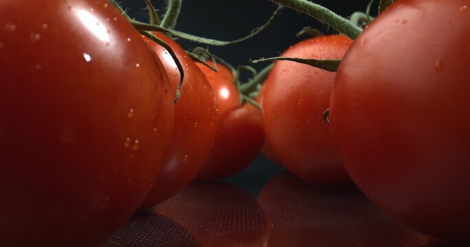 Tomatoes for Dip. Concept of healthy food. Organic or natural farmig methods. 