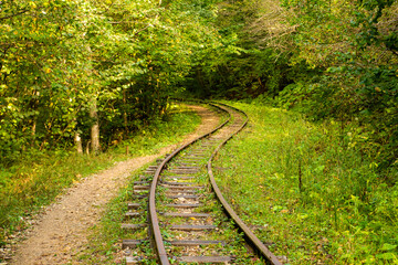 Obraz premium Abandoned railway in autumn mountain forest with foliar trees in Caucasus, Mezmay