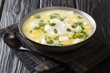 One of the most popular traditional dishes in the Venezuelan Andes is the Pisca Andina chicken broth with potatoes, served with a poached egg on top and lots of cilantro close-up in a bowl
