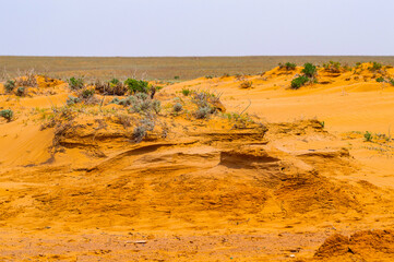 Panorama of the semi-desert with withered grass