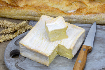 Pont-l'Eveque, french cheese