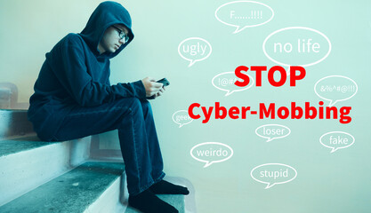 Types of harassment against teenagers in cyber space. Cyber Mobbing, Internet trolling, Griefing, Hate speech, Cyberstalking, Cyberharassment, Catfishing, Outing, Dissing, Fraping, Cyberbullying.