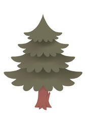 Pine tree isolated on white background. Hand drawn botanical illustration. Flat design.