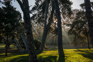 Obraz premium Autumn / Winter time in Malmö