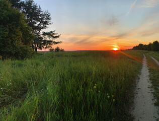 sunset in the field