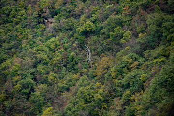 99 curve of Moutain,Beautiful Mountain in China,The winding road of Tianmen mountain national park, Hunan province, Zhangjiajie The Heaven Gate of Tianmen Shan, mountain in china