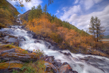 A large stream of water flows down the mountain. Bushes with yellow autumn foliage. Natural background with a waterfall. Soft focusing on water flow and rocks.