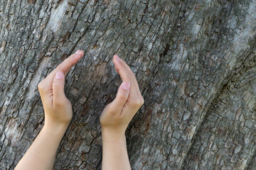 Girl holds her hands in protection gesture against the background made of tree trunk. Concept of nature protection and environment save.Copy space
