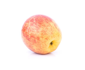 One red apple on a white background.