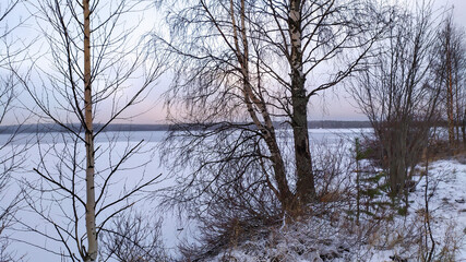 Russia, Karelia, Kostomuksha.The birch trees on the shore of lake Kontoki.November 25, 2020.
