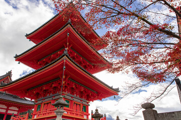 美しい京都の紅葉風景