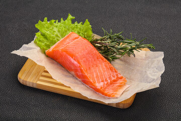 Piece of raw salmon