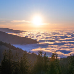 Sonnenaufgang im Schwarzwald vor Wolkendecke