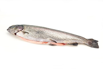 Raw trout fish isolated on white