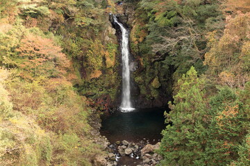 Enjoy the autum color leaves