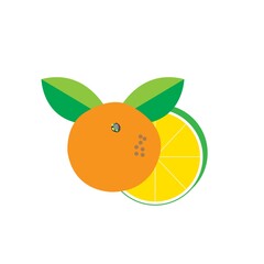 orange design vector
