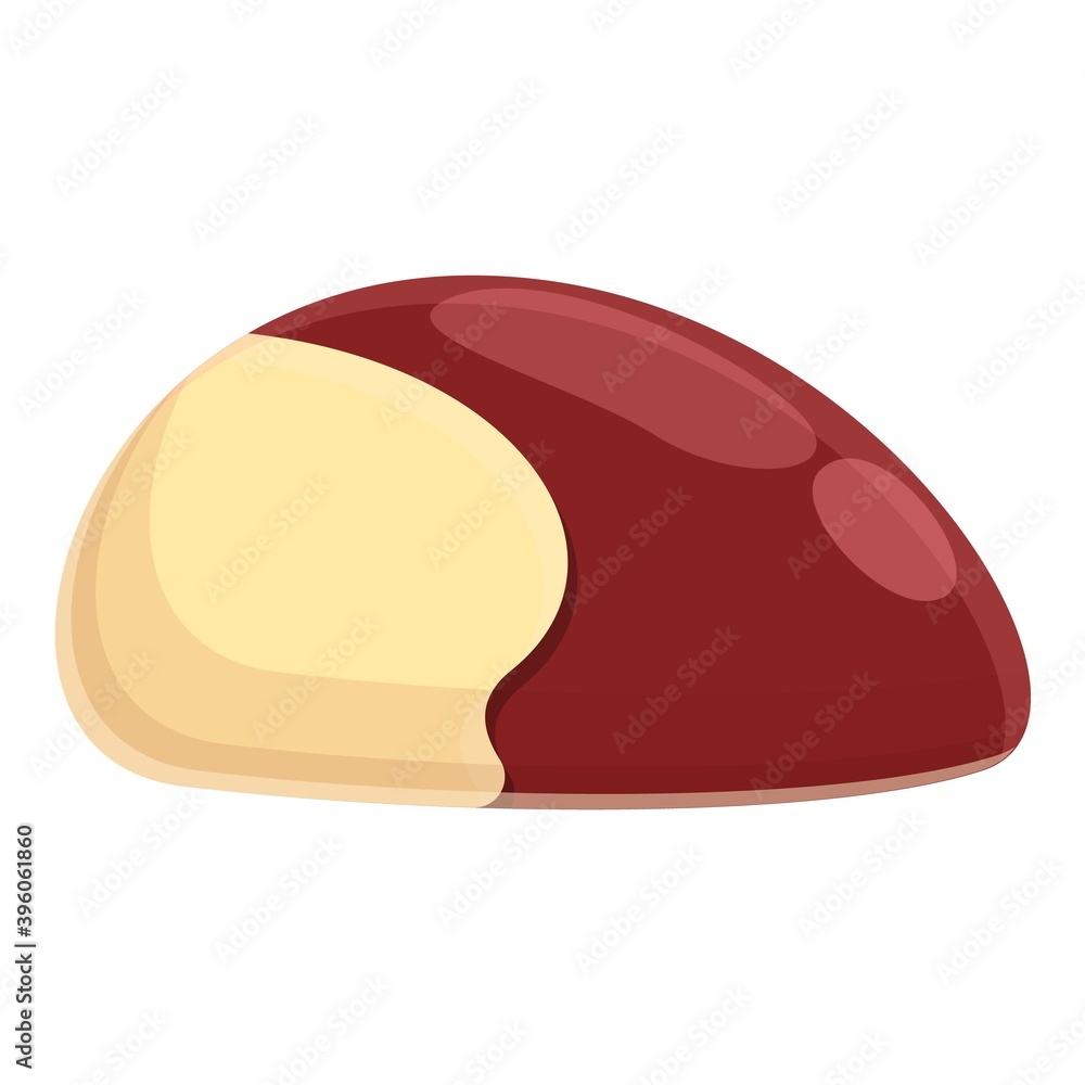 Poster chestnut botany icon. cartoon of chestnut botany vector icon for web design isolated on white backgr